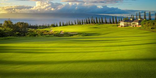 golf article