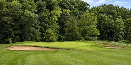 golf article
