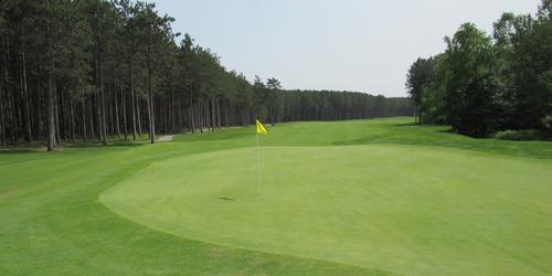 golf article